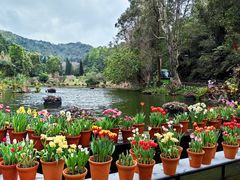 -深圳仙湖植物园