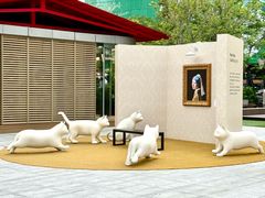 -深圳湾万象城(南山店)