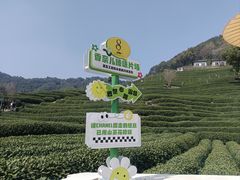 -十八棵（老龙井）御茶园(老龙井店)