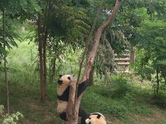 -西安秦岭野生动物园