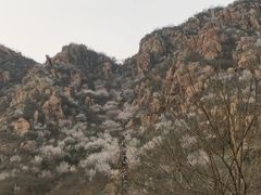 -北京凤凰岭