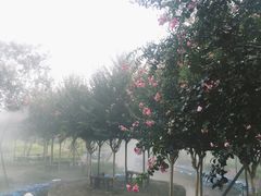 -武汉紫薇都市田园