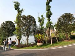 -枫香湖儿童公园