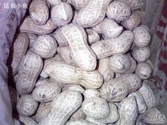 花生-王老头炒货(天坛东路店)