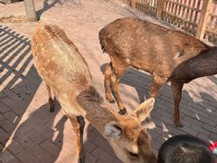 -水上乐园·欢乐世界