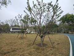 -后襄河公园