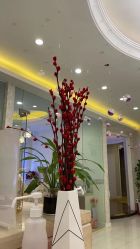 点击看大图 -Cocodemer女性健康·产后恢复(天一广场店)