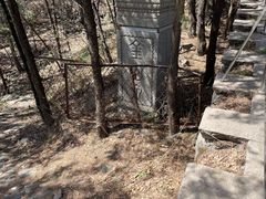 -阳台山自然风景区