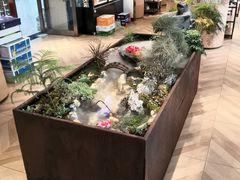 -东椰·海南椰子鸡火锅(朝阳门店)