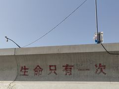 -南汇新城海滩