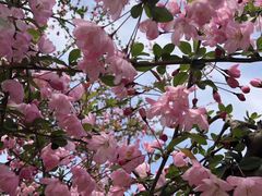 -同济大学(嘉定校区)