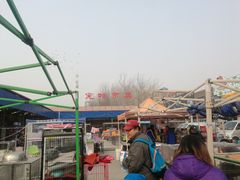 -中环花鸟鱼虫市场