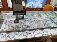 -博客眼镜(大学城店)