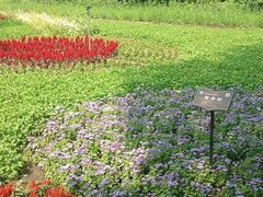 -黑龙江省森林植物园