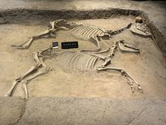 -洛阳周王城天子驾六博物馆