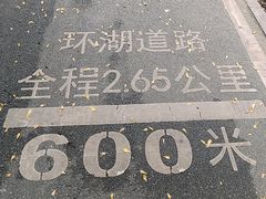 -海珠湖公园