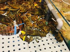 -开海·红岛海鲜虾水饺(石老人店)