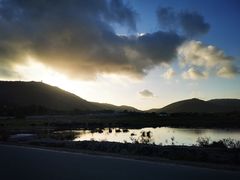 -亚龙湾国际玫瑰谷