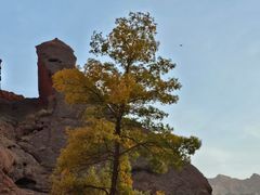 -天山神秘大峡谷