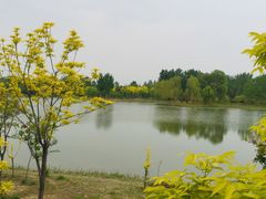 -东郊湿地公园