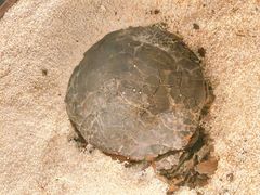 -福禧酒窖·中餐厅 (万柳店)