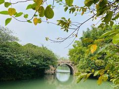 -乌镇景区