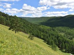 -莫尔道嘎国家森林公园