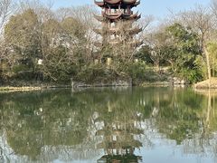 -西溪国家湿地公园