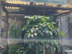 -金陵花卉交易市场