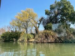 -西溪国家湿地公园