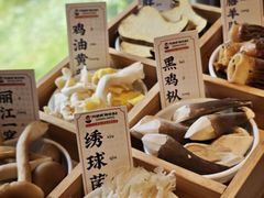 -阿婆情腊排骨火锅·野生菌季(古城旗舰店)