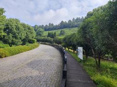 -树山生态村