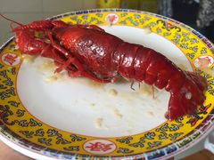 蒜蓉龙虾-袁老大龙虾(石鼓路总店)