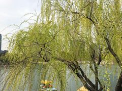 -大宁灵石公园西门票处