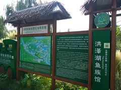 -泗洪洪泽湖湿地景区