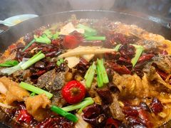 老板恋上鱼-老板恋上鱼(振华商厦店)