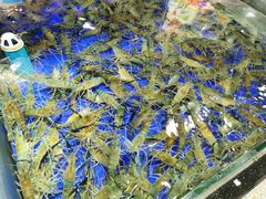 -渔民新村(番禺总店)