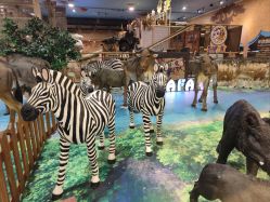 -卡通尼·Safari非洲探索乐园·生日会(金桥国际商业广场店)