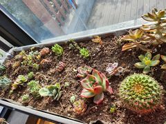-北马山庄植趣咖啡