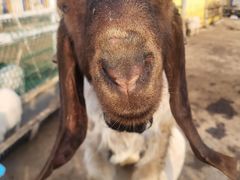 -西部长青自然儿童乐园