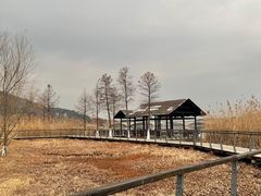 -长广溪湿地公园