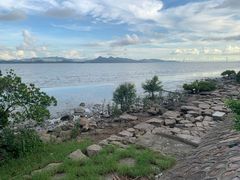 -深圳湾公园(南山区)