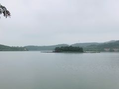 -美的鹭湖森林度假区