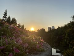 -云溪植物园