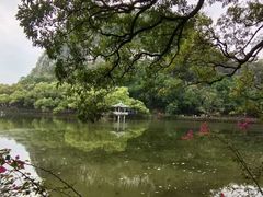 -星湖旅游景区七星岩