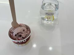 -哈根达斯(武汉天地店)