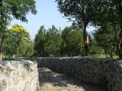 -阳台山自然风景区