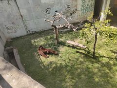 -青藏高原野生动物园