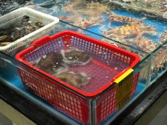 -海港湾海鲜加工坊(海鲜大世界店)