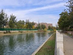 -坝河休闲公园